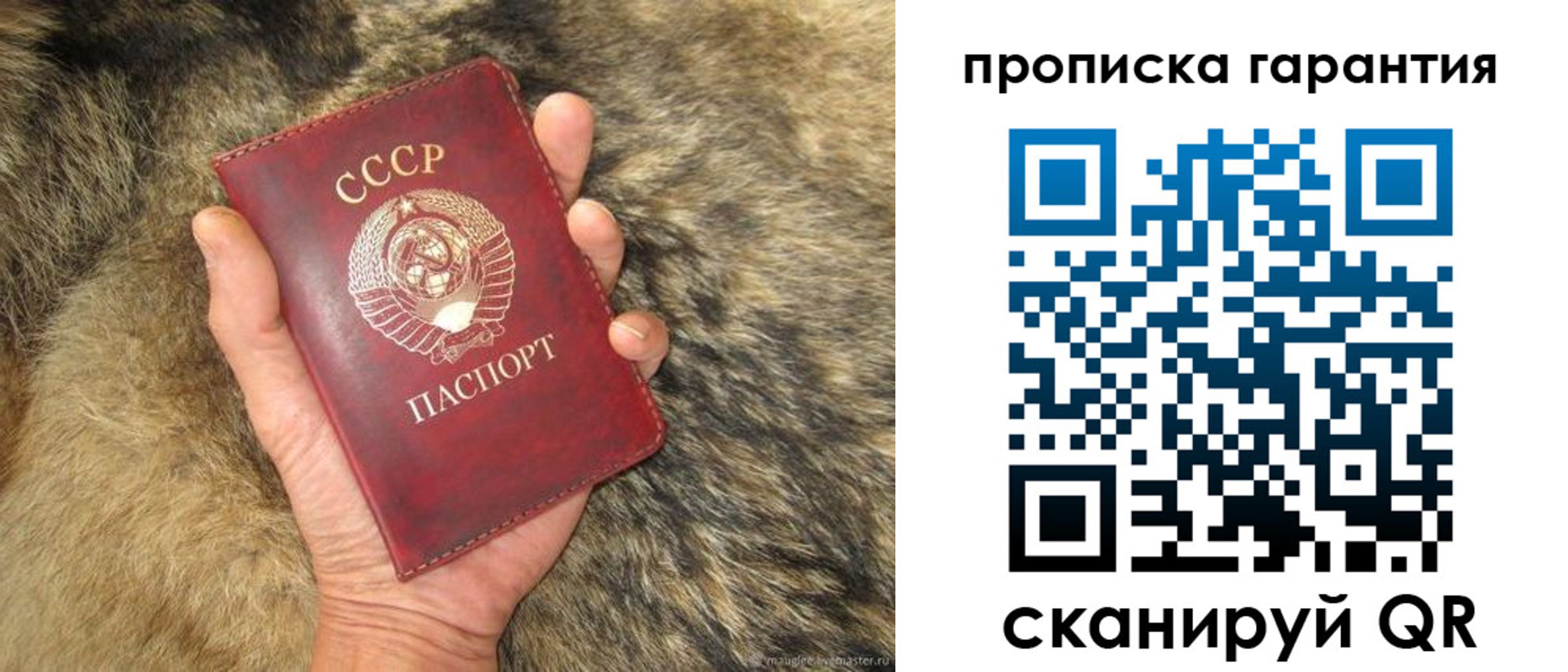 временная регистрация гарантия в Петровске